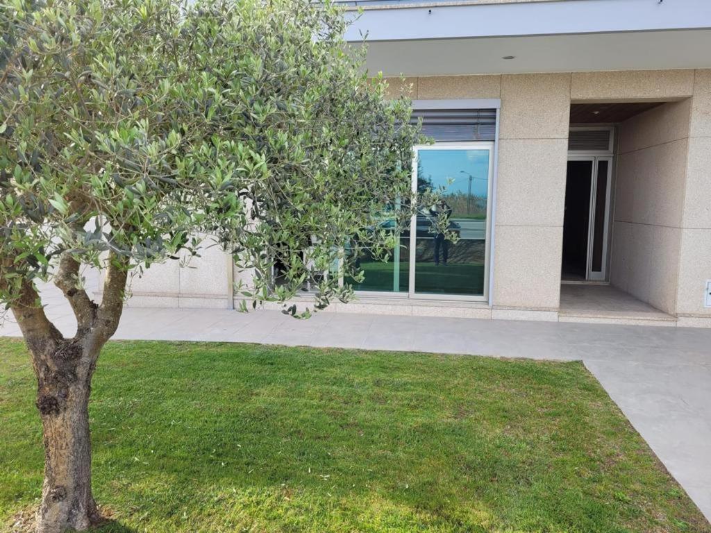 Olive Ap. Torreira